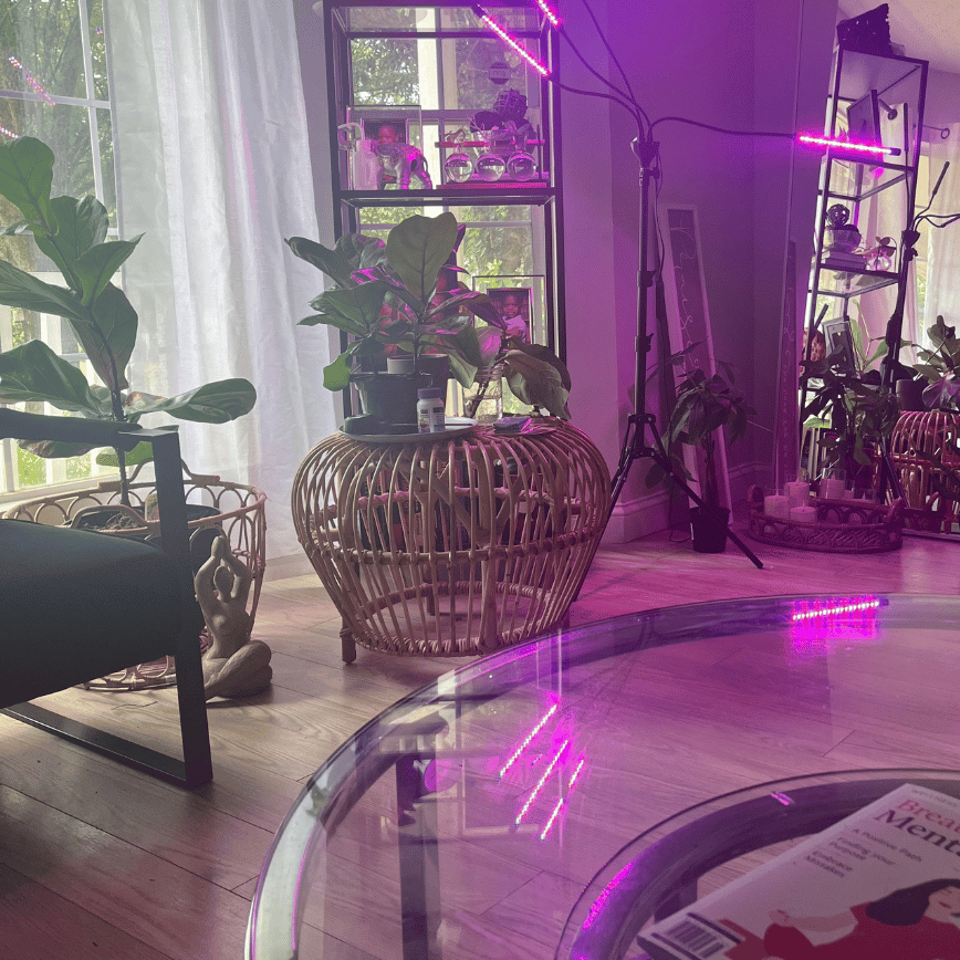 dopamine decor